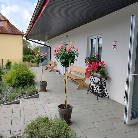 Pokoje Pod Grusza -Osobne Wejscia Kudowa-Zdrój Exterior foto
