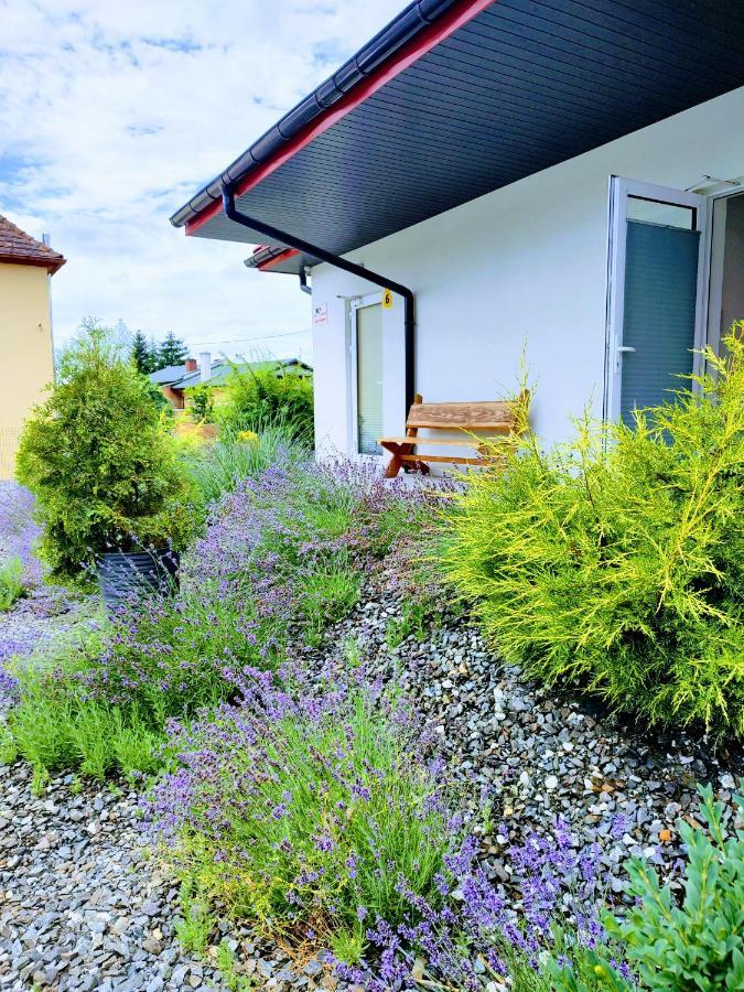 Pokoje Pod Grusza -Osobne Wejscia Kudowa-Zdrój Exterior foto