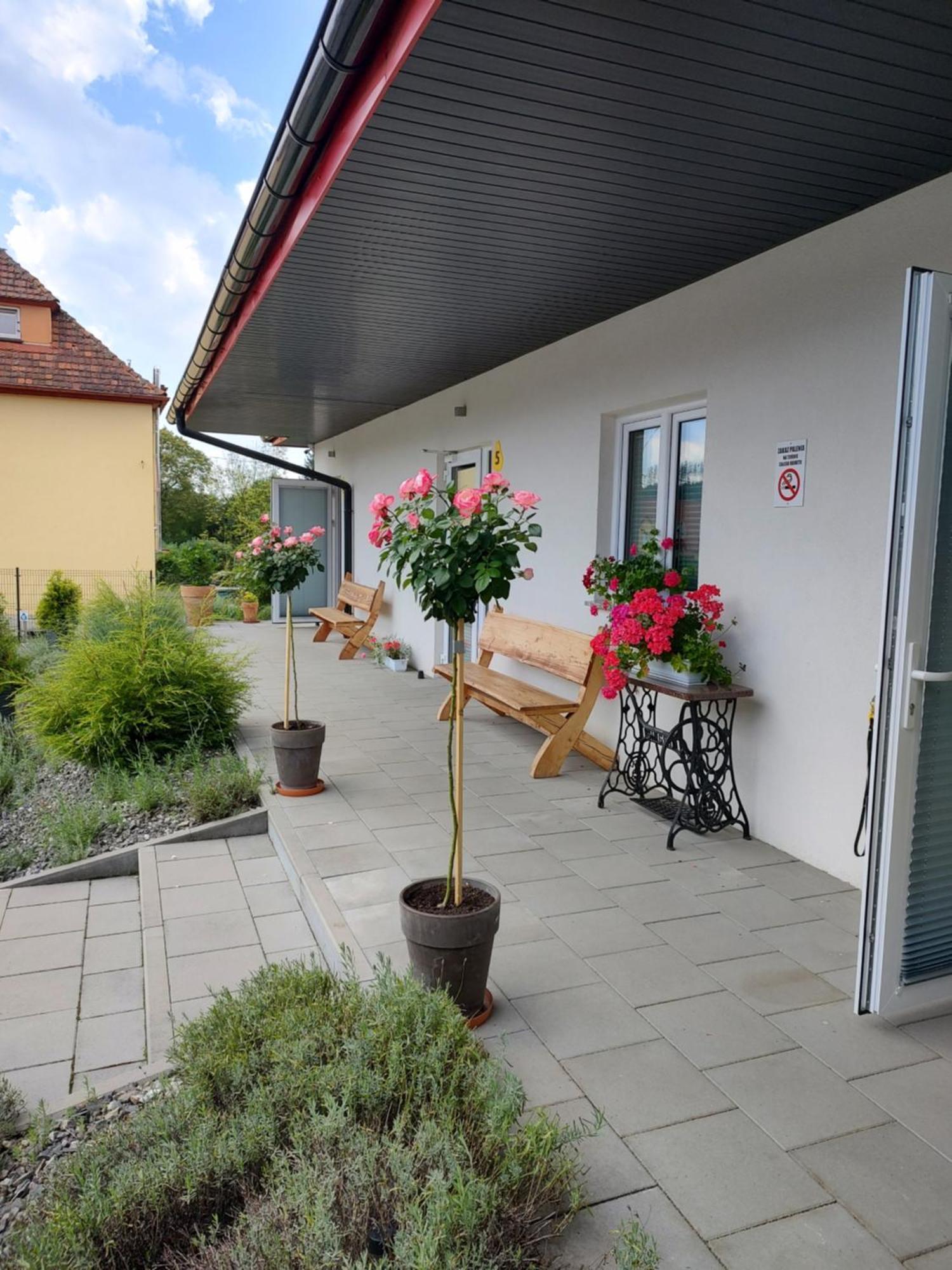 Pokoje Pod Grusza -Osobne Wejscia Kudowa-Zdrój Exterior foto